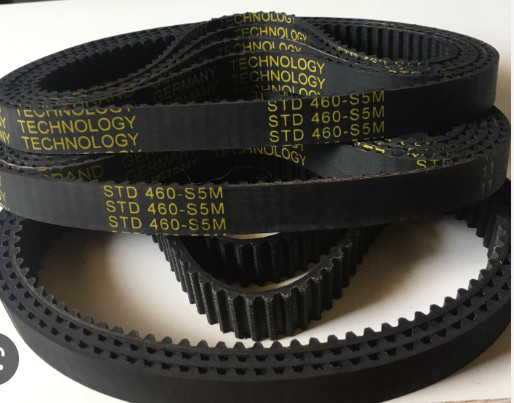 Dây belt
