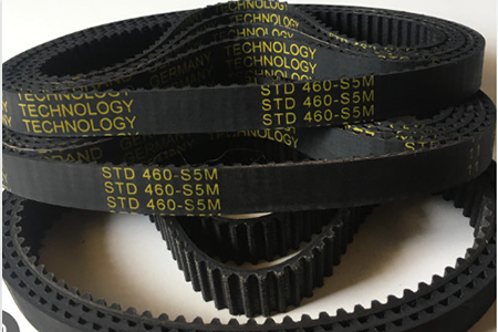 Dây belt